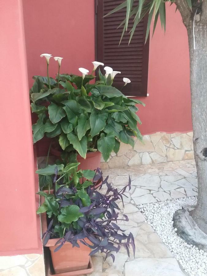 Stella Hotel Quartu Sant'Elena Exterior photo